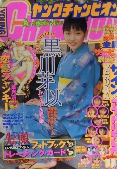 Cover of No. 17, 2001