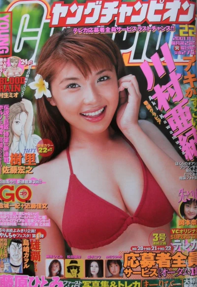 Cover of No. 22, 2001