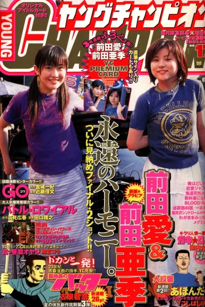 Cover of No. 17, 2002
