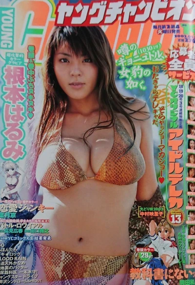 Cover of No. 19, 2002