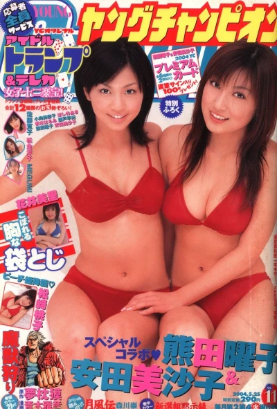 Cover of No. 11, 2004
