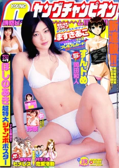 Cover of No. 12, 2006