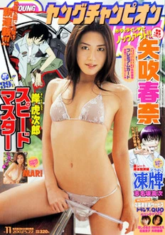 Cover of No. 11, 2007