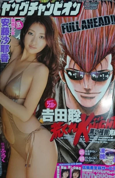 Cover of No. 22, 2007