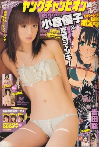 Cover of No. 6, 2008