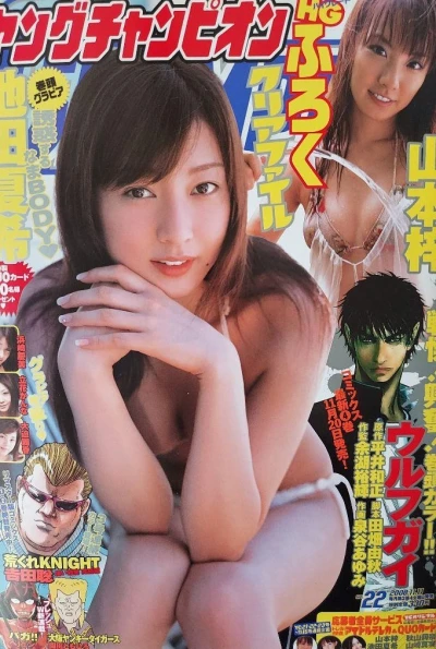 Cover of No. 22, 2008
