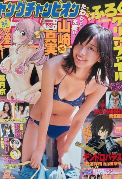 Cover of No. 23, 2008