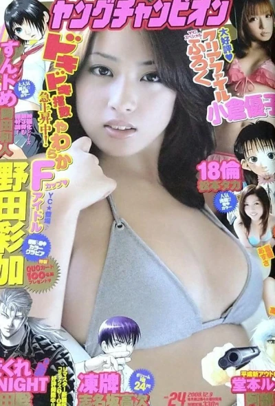 Cover of No. 24, 2008