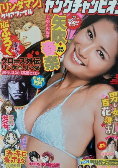 Cover of No. 5, 2009