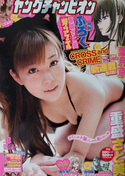 Cover of No. 13, 2009