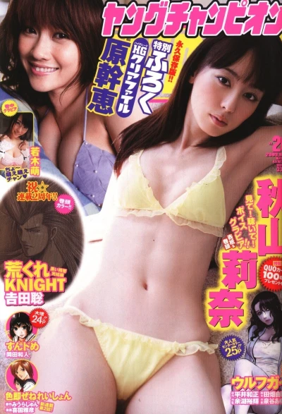 Cover of No. 20, 2009