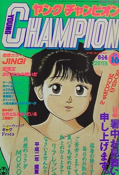 Cover of No. 16, 1990