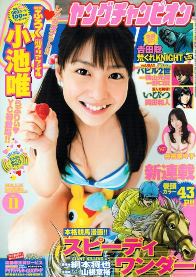 Cover of No. 11, 2010
