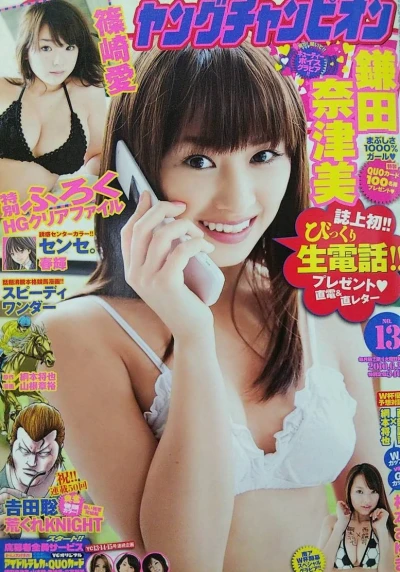 Cover of No. 13, 2010