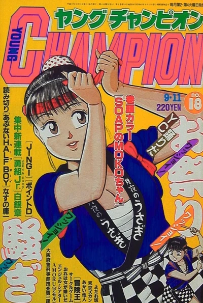 Cover of No. 18, 1990