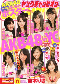 Cover of No. 17, 2010