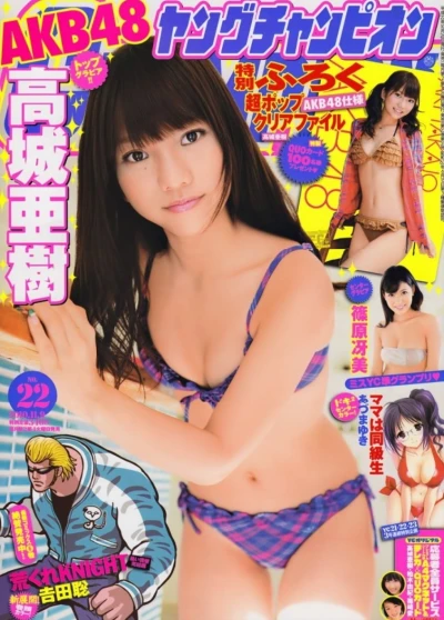 Cover of No. 22, 2010