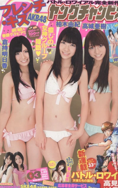 Cover of No. 3, 2011