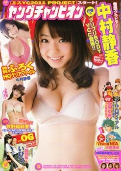 Cover of No. 6, 2011