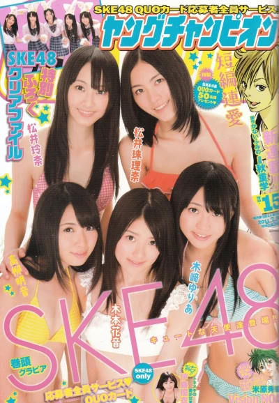 Cover of No. 15, 2011