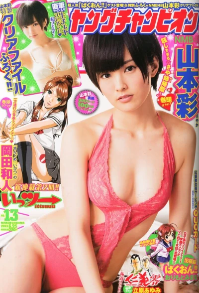 Cover of No. 13, 2013