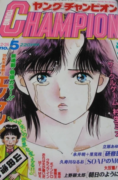 Cover of No. 5, 1991