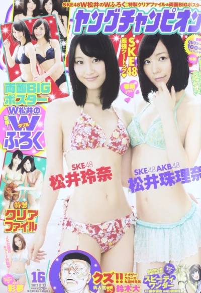 Cover of No. 16, 2013