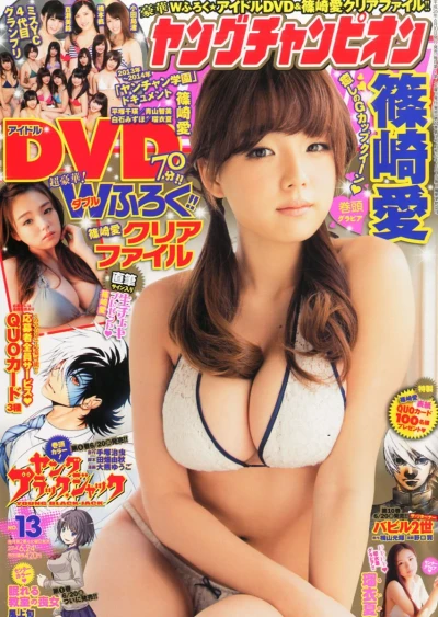 Cover of No. 13, 2014