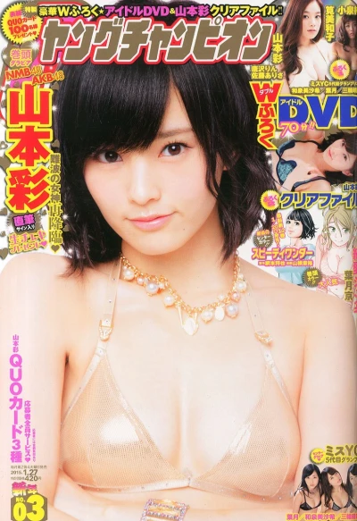 Cover of No. 3, 2015