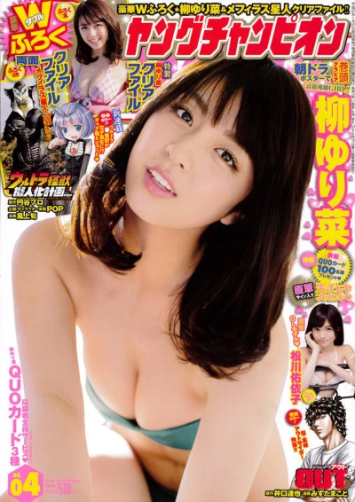 Cover of No. 4, 2015