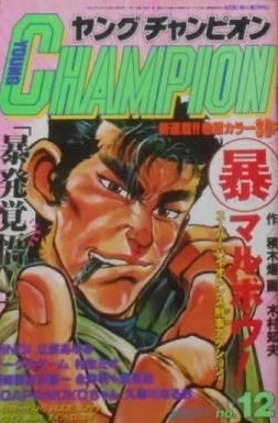 Cover of No. 12, 1991