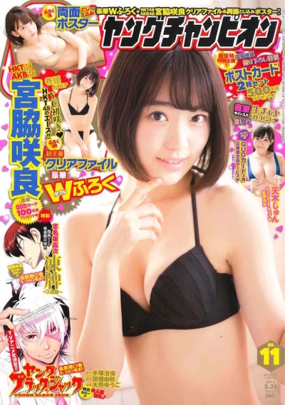 Cover of No. 11, 2015