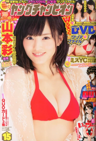 Cover of No. 15, 2015