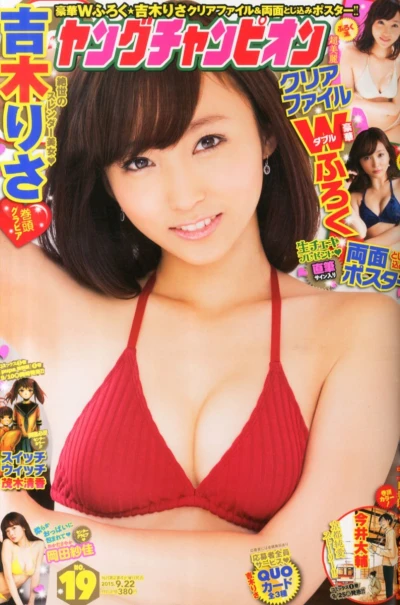 Cover of No. 19, 2015