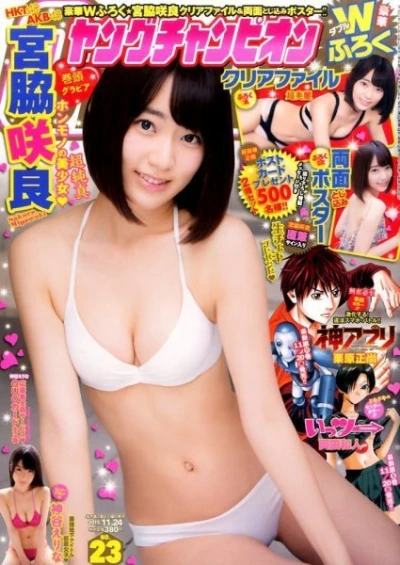 Cover of No. 23, 2015