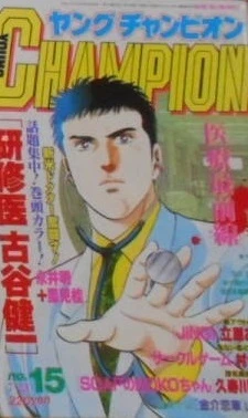 Cover of No. 15, 1991