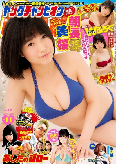 Cover of No. 11, 2017