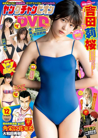 Cover of No. 12, 2019