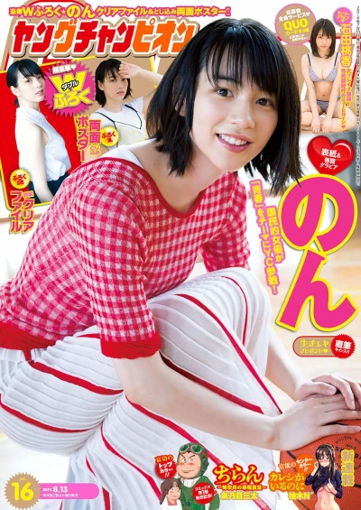 Cover of No. 16, 2019