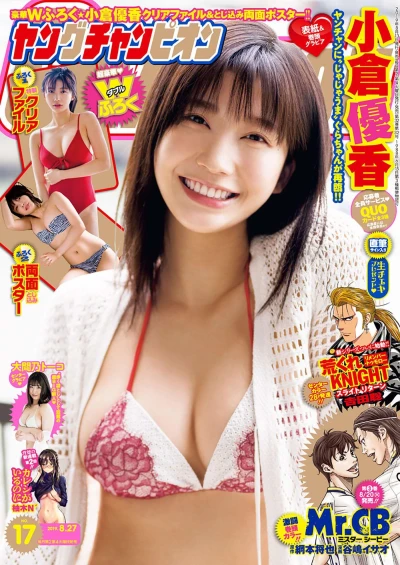 Cover of No. 17, 2019