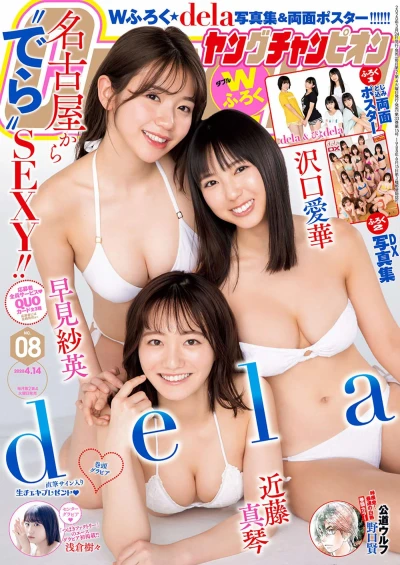 Cover of No. 8, 2020