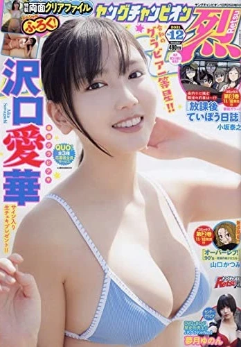 Cover of No. 12, 2021