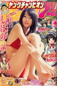 Vol. 4