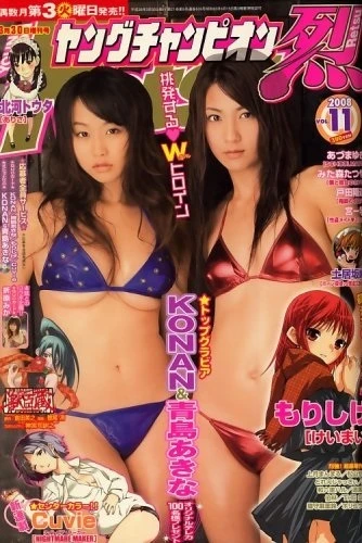 Cover of Vol. 11