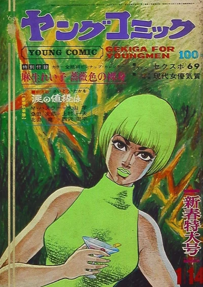 Cover of Issue #29