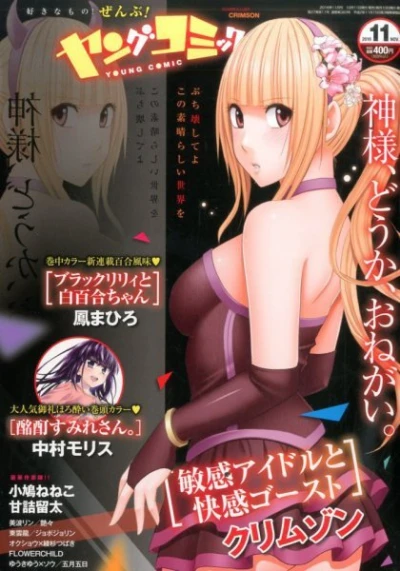 Cover of No. 11, 2016