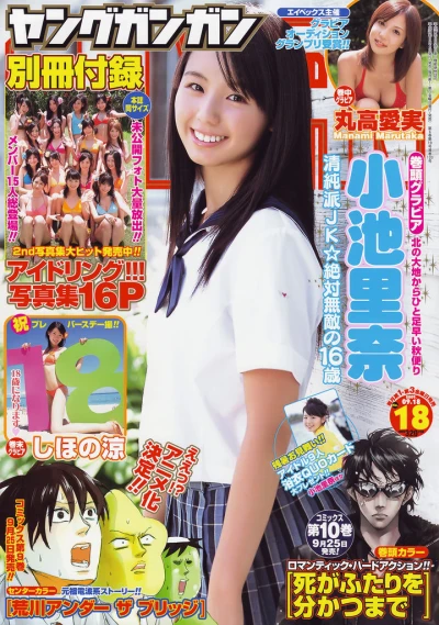 Cover of No. 18, 2009