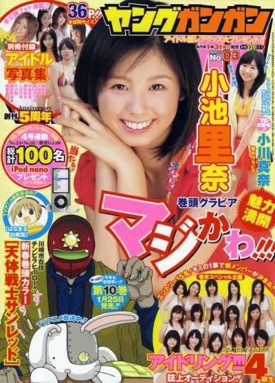 Cover of No. 3, 2010