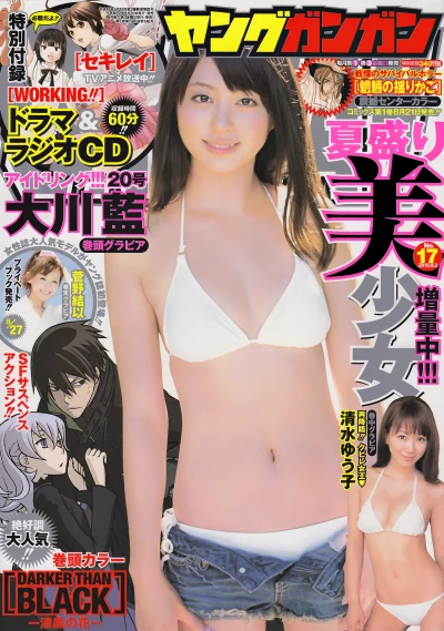 Cover of No. 17, 2010