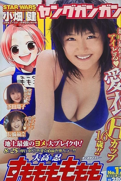 Cover of No. 17, 2005